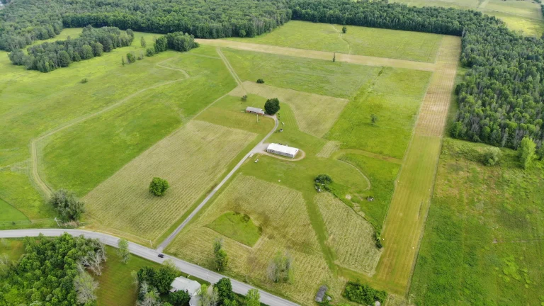 Ultimate Guide To Buying Empty Land For Sale