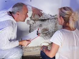 Discover The Best Mold Inspection In Los Angeles